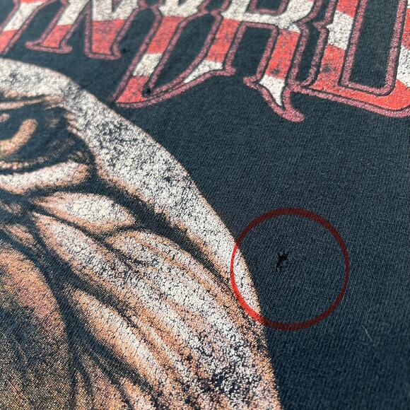 Lynyrd Skynyrd Y2K Eagle T-shirt Men's size Medium Black Faded Gildan Tag - Picture 7 of 7